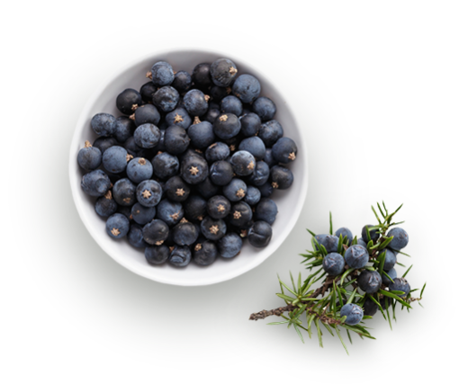 Sorgin & Francois Lurton - Les caractéristiques du Gin Sorgin - Genièvre